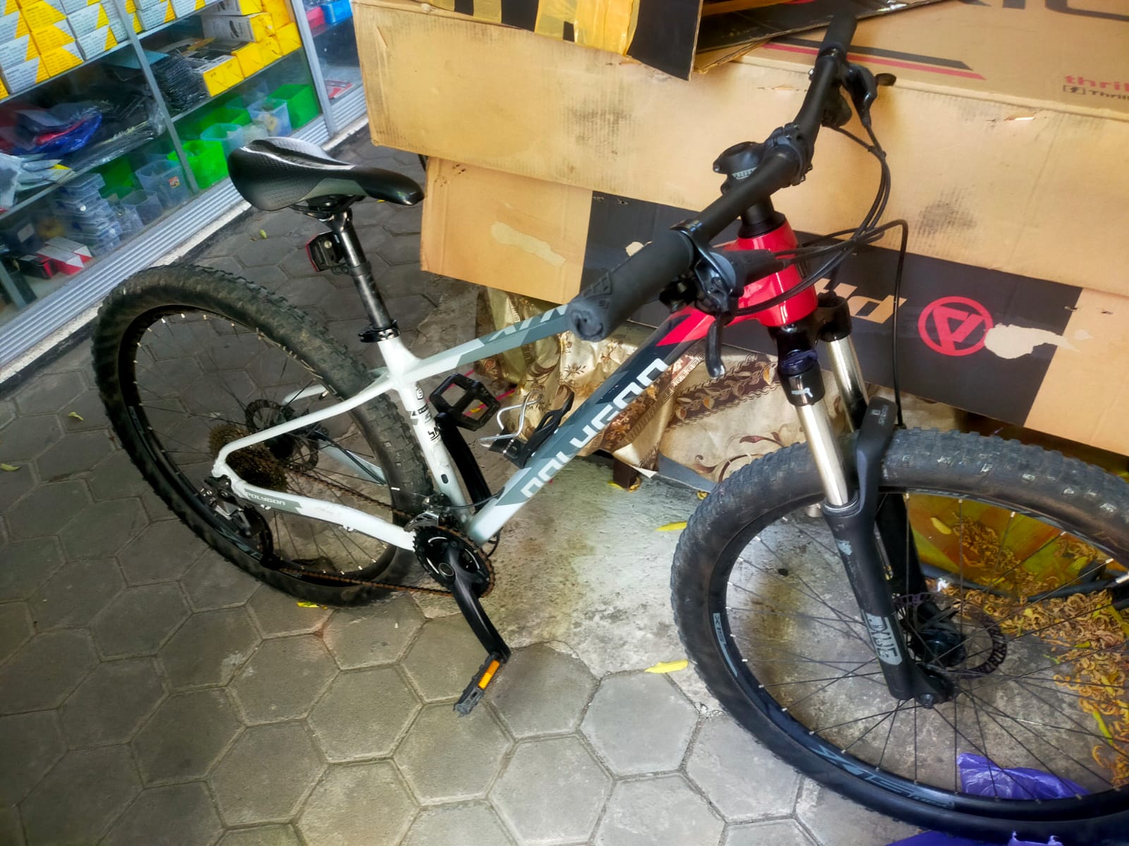 Pelaku Pencurian HP dan Sepeda di Mataram Ditangkap Polisi