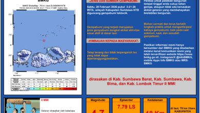 Gempa M4,7 Guncang Sumbawa Dini Hari, BMKG Catat 7 Kali Susulan